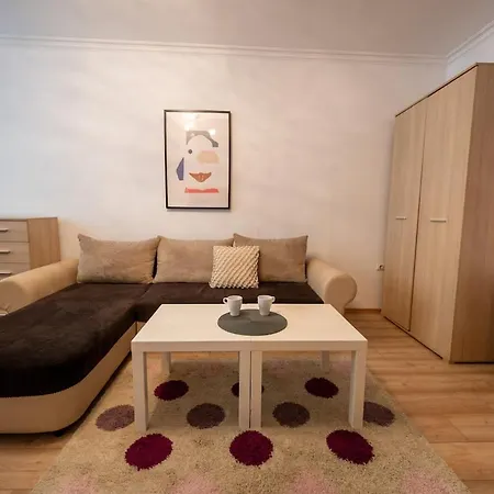 Spacious 1bdr In The Center With Free Parking Apartament