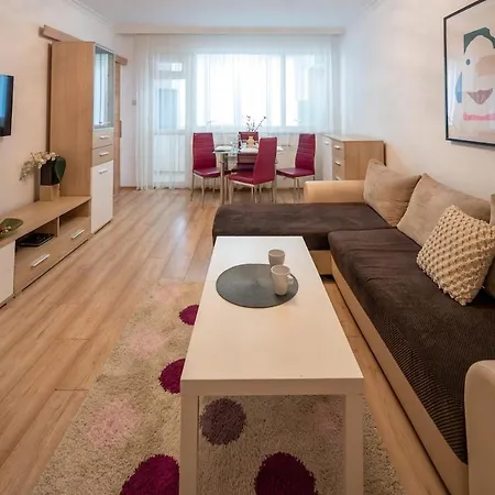 Spacious 1bdr In The Center With Free Parking