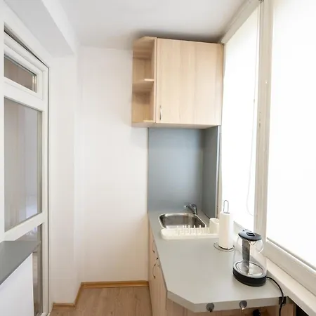 Apartment Spacious 1bdr In The Center With Free Parking *